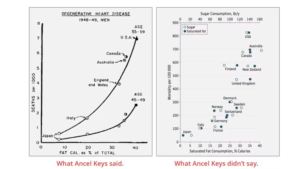 Nghiên cứu 7 quốc gia của Ancel Keys: Sai lầm kinh điển định hình lịch sử dinh dưỡng thế giới — hình minh hoạ