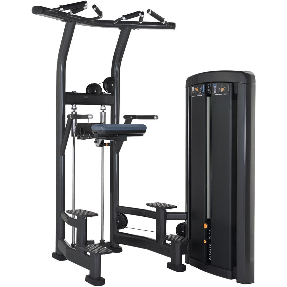 Life Fitness – Insignia Series Assist Dip Chin
