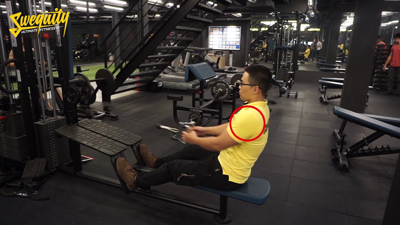 [LU02] Tập lưng – Seated Cable Row