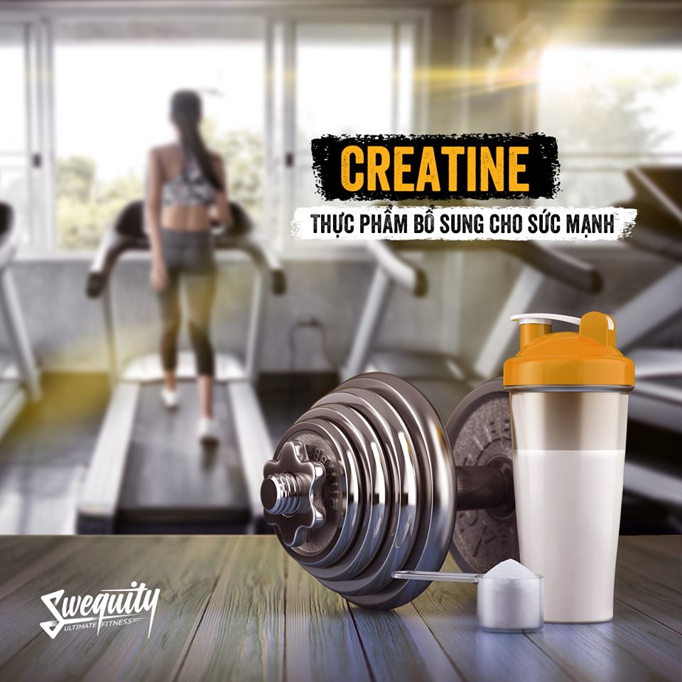 Swequity khuyên bạn: Đã đi tập gym thì nên sử dụng creatine